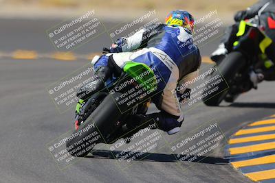 media/Oct-08-2022-SoCal Trackdays (Sat) [[1fc3beec89]]/Turn 11 Backside (1145am)/